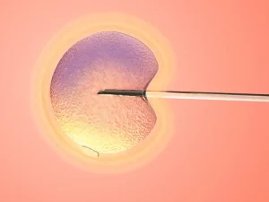 میزان موفقیت بارداری با ivf